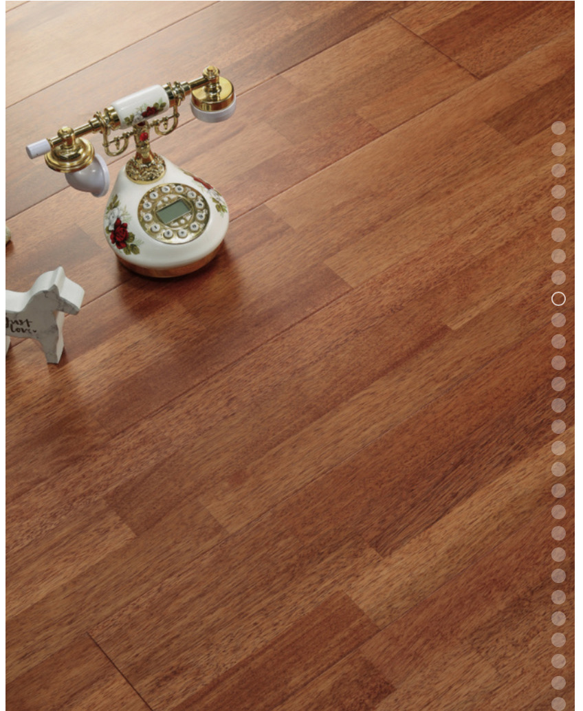 世友原裝進口地板 